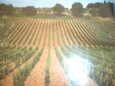 Casa de vacaciones en Borgo Chianti (Firenze)Casa de vacaciones