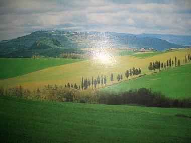 Casa de vacaciones en Borgo Chianti (Firenze)Casa de vacaciones