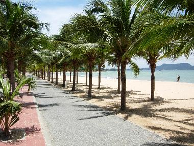 Palmeras en la playa