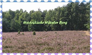 Casa de vacaciones en Wietzendorf (L�neburger Heide)Casa de vacaciones