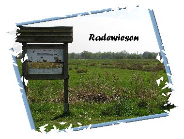 Casa de vacaciones en Wietzendorf (L�neburger Heide)Casa de vacaciones