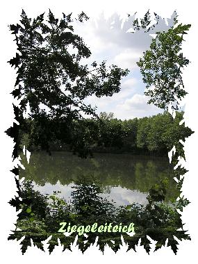 Casa de vacaciones en Wietzendorf (L�neburger Heide)Casa de vacaciones