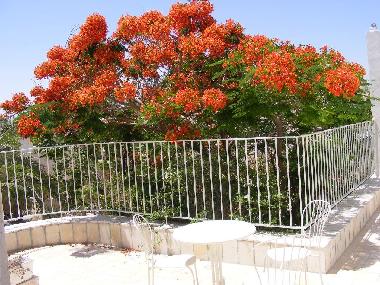 Casa de vacaciones en Kfar Adumim (Yerushalayim (Jerusalem))Casa de vacaciones