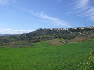 Casa de vacaciones en Irsina (Matera)Casa de vacaciones