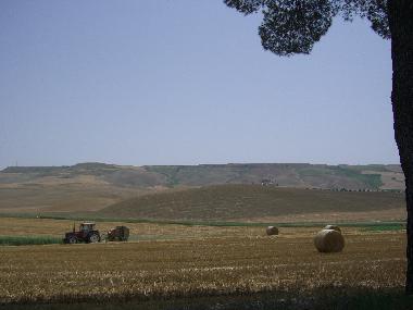 Casa de vacaciones en Irsina (Matera)Casa de vacaciones