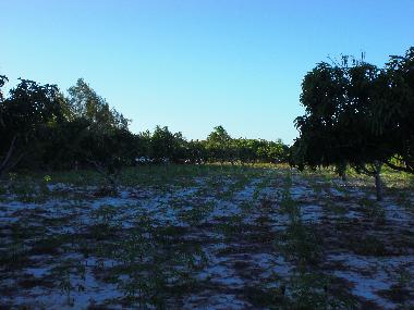 Apartamento de vacaciones en Fortaleza (Ceara)Casa de vacaciones