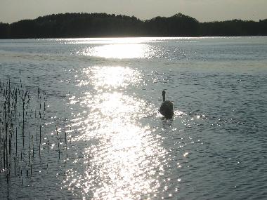 Casa de vacaciones en Kleinzerlang (Mecklenburgische Seenplatte)Casa de vacaciones