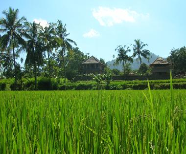 Casa de vacaciones en Manuksesa (Bali)Casa de vacaciones