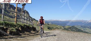 Apartamento de vacaciones en St.Ulrich (Bolzano-Bozen)Casa de vacaciones