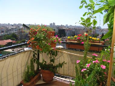 Cama y desayuno en Antalya (Antalya)Casa de vacaciones