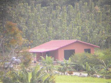 Apartamento de vacaciones en cabo blanco (Puntarenas)Casa de vacaciones