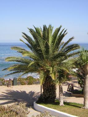 Apartamento de vacaciones en Puerto de la Cruz (Teneriffa)Casa de vacaciones