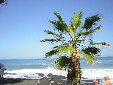 Apartamento de vacaciones en Puerto de la Cruz (Teneriffa)Casa de vacaciones