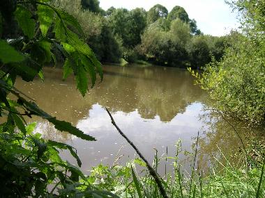 Casa de vacaciones en SAIN BONNET DE SALERS (Cantal)Casa de vacaciones