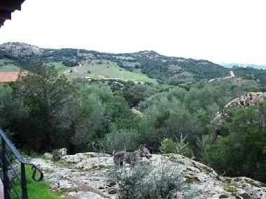 Casa de vacaciones en Baja Sardinia  (Sassari)Casa de vacaciones