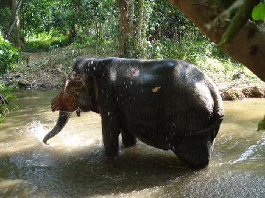 Cama y desayuno en Ao Nang (Krabi)Casa de vacaciones