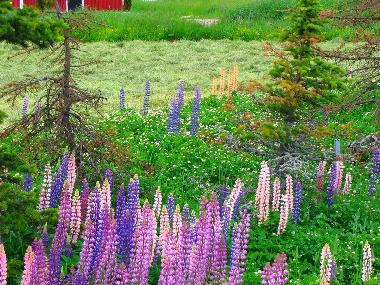 Chalet en Jokela (Etela-Suomen Laani)Casa de vacaciones