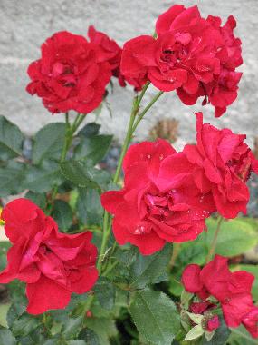 Chalet en Jokela (Etela-Suomen Laani)Casa de vacaciones