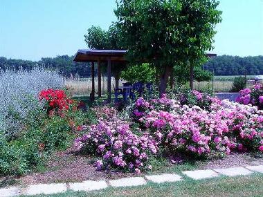 Casa de vacaciones en Torgiano (Perugia)Casa de vacaciones