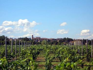 Casa de vacaciones en Torgiano (Perugia)Casa de vacaciones