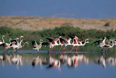 Apartamento de vacaciones en Roquetas de Mar (Almer�a)Casa de vacaciones