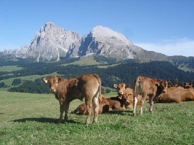 Casa de vacaciones en Natz (Bolzano-Bozen)Casa de vacaciones