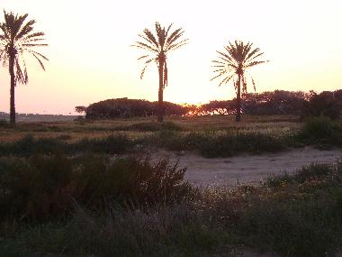 Chalet en Torrevieja (Alicante / Alacant)Casa de vacaciones