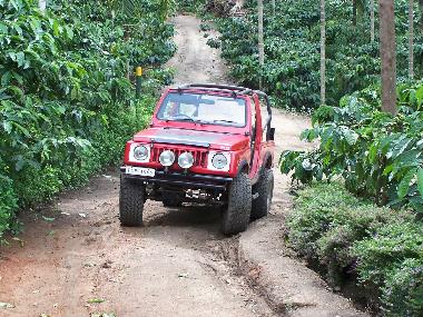 Cama y desayuno en Muttil peak (Kerala)Casa de vacaciones