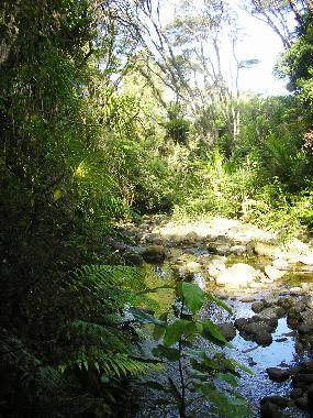 Casa de vacaciones en Kennedy Bay (Thames-Coromandel)Casa de vacaciones