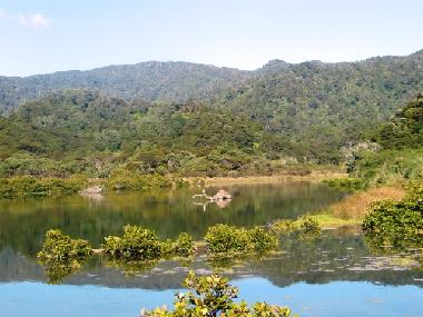 Casa de vacaciones en Kennedy Bay (Thames-Coromandel)Casa de vacaciones