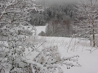 Casa de vacaciones en Bernartice u Trutnova (Kralovehradecky Kraj)Casa de vacaciones