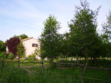 Cama y desayuno en Perugia (Perugia)Casa de vacaciones