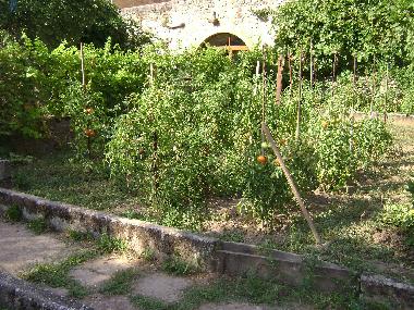 Apartamento de vacaciones en SAINT ROME DE TARN (Aveyron)Casa de vacaciones