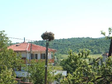 Apartamento de vacaciones en Marinka (Burgas)Casa de vacaciones