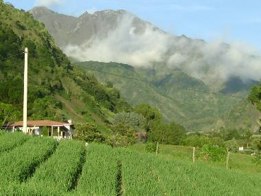 Chalet en Volcan (Chiriqui)Casa de vacaciones