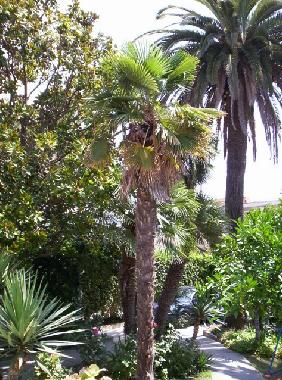 Apartamento de vacaciones en Herceg Novi (Montenegro)Casa de vacaciones