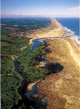 Apartamento de vacaciones en Moliets Plage (Landes)Casa de vacaciones