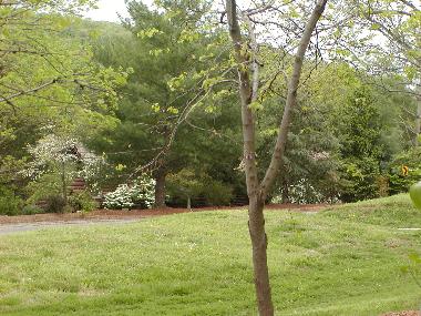 Casa de vacaciones en Branson (Missouri)Casa de vacaciones