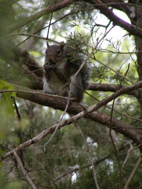 Casa de vacaciones en Branson (Missouri)Casa de vacaciones