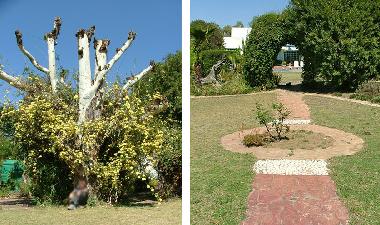 Casa de vacaciones en Johannesburg (Gauteng)Casa de vacaciones