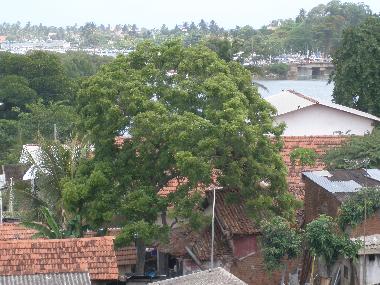 Apartamento de vacaciones en Negombo (Gampaha)Casa de vacaciones