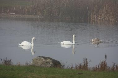 Casa de vacaciones en k�pingsvik (�land)Casa de vacaciones