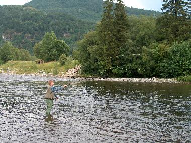 Cama y desayuno en Havdal (Sor-Trondelag)Casa de vacaciones