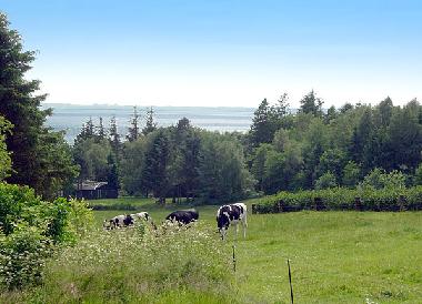 Casa de vacaciones en Spottrup  (Nordjylland)Casa de vacaciones