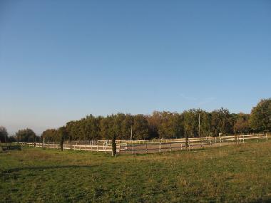 Chalet en viterbo (Viterbo)Casa de vacaciones