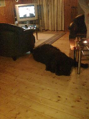 Casa de vacaciones en Rindby Strand/Fan� (Sonderjylland)Casa de vacaciones