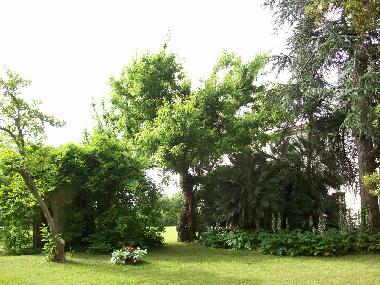 Apartamento de vacaciones en Pisa  (Pisa)Casa de vacaciones