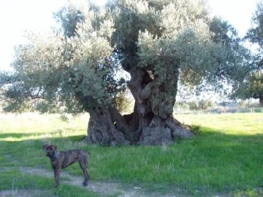 Apartamento de vacaciones en Sciacca (Agrigento)Casa de vacaciones