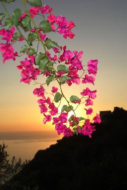 Apartamento de vacaciones en Pisciotta (Salerno)Casa de vacaciones