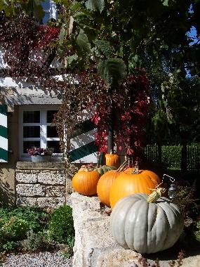 Apartamento de vacaciones en Blaufelden-Herrentierbach (Hohenlohe)Casa de vacaciones